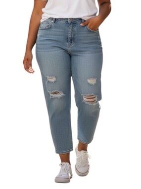Emery Rose Plus Size Distressed Light Wash Straight Leg size 2XL